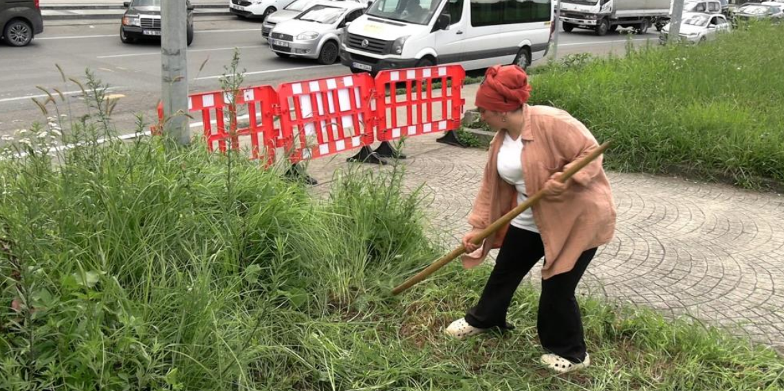 Şehir merkezinde tırpanla geçim mücadelesi