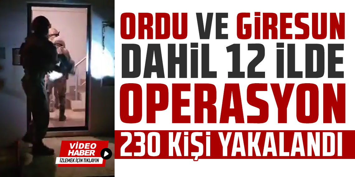 Ordu ve Giresun dahil 12 ilde dev operasyon! 230 kişi yakalandı