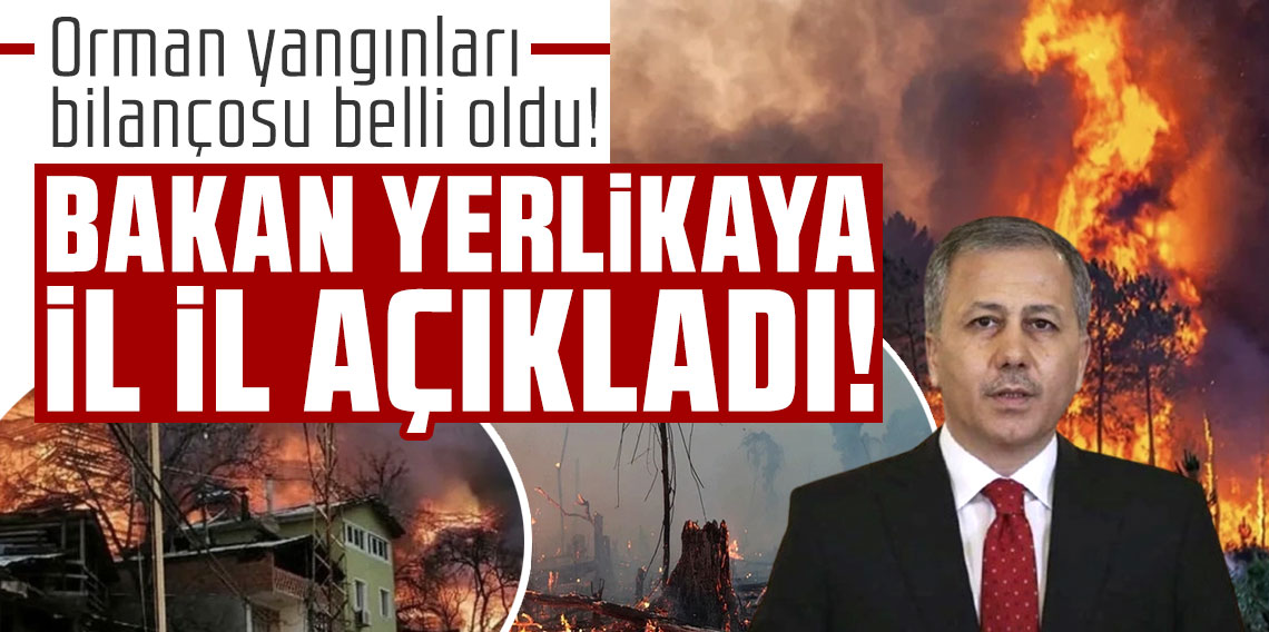 Orman yangınları bilançosu belli oldu! Bakan Yerlikaya il il açıkladı
