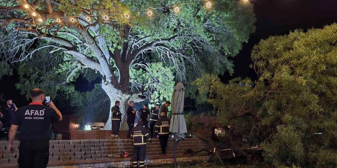 Asırlık çınar ağacının kopan dalı 4 kişiyi yaraladı