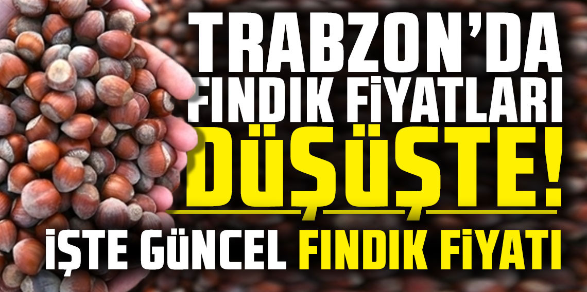 Trabzon'da fındık fiyatları düşüşte!  İşte güncel fındık fiyatı