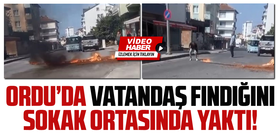 Ordu'da vatandaş fındığını sokak ortasında yaktı