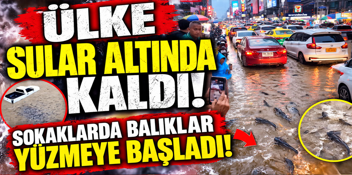 Ülke sular altında kaldı! Sokaklarda balıklar yüzmeye başladı