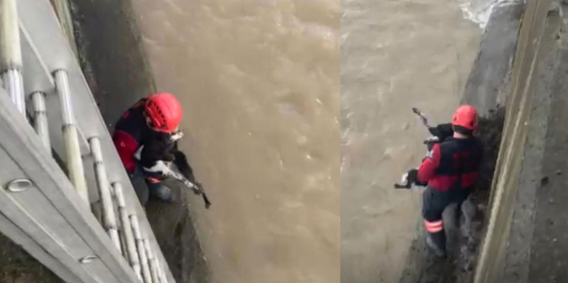 Derede mahsur kalan köpeği itfaiye ekibi kurtardı