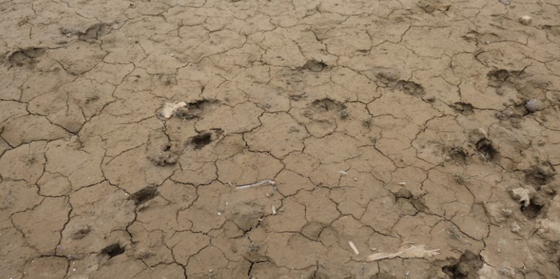 Kozan Barajında korkutan manzara