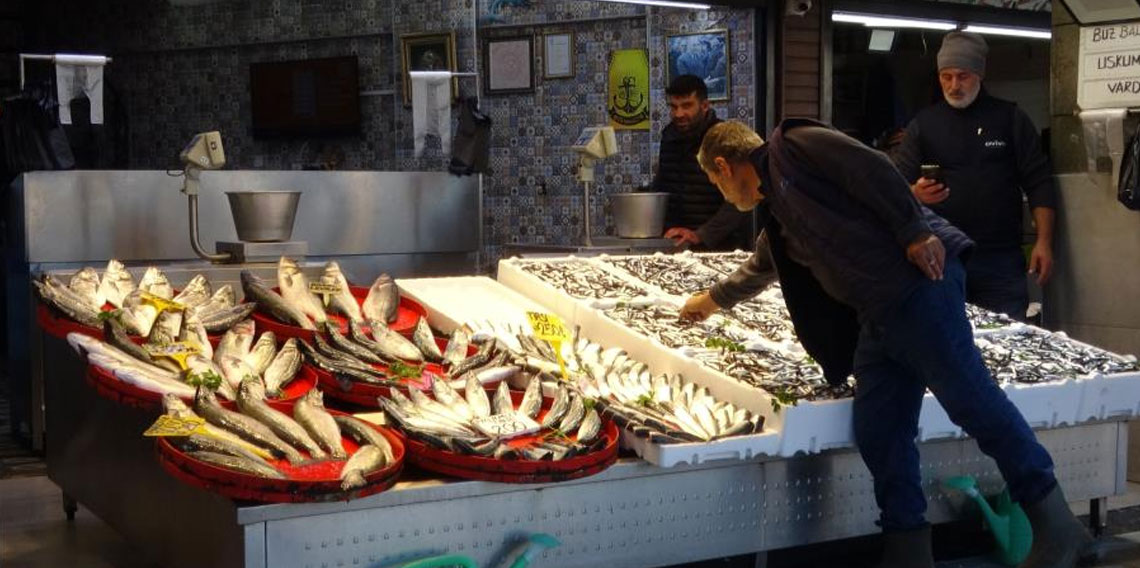 Palamut sezonu başlamadan bitti, umutlar seneye kaldı