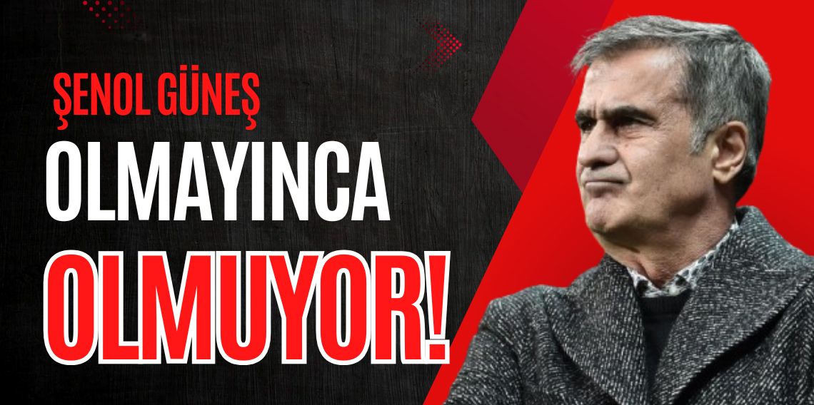 Şenol Güneş: Olmayınca Olmuyor