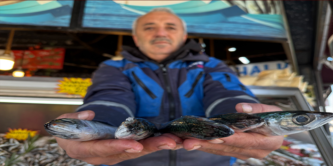 Karadeniz'de palamut sezonu yeniden açıldı