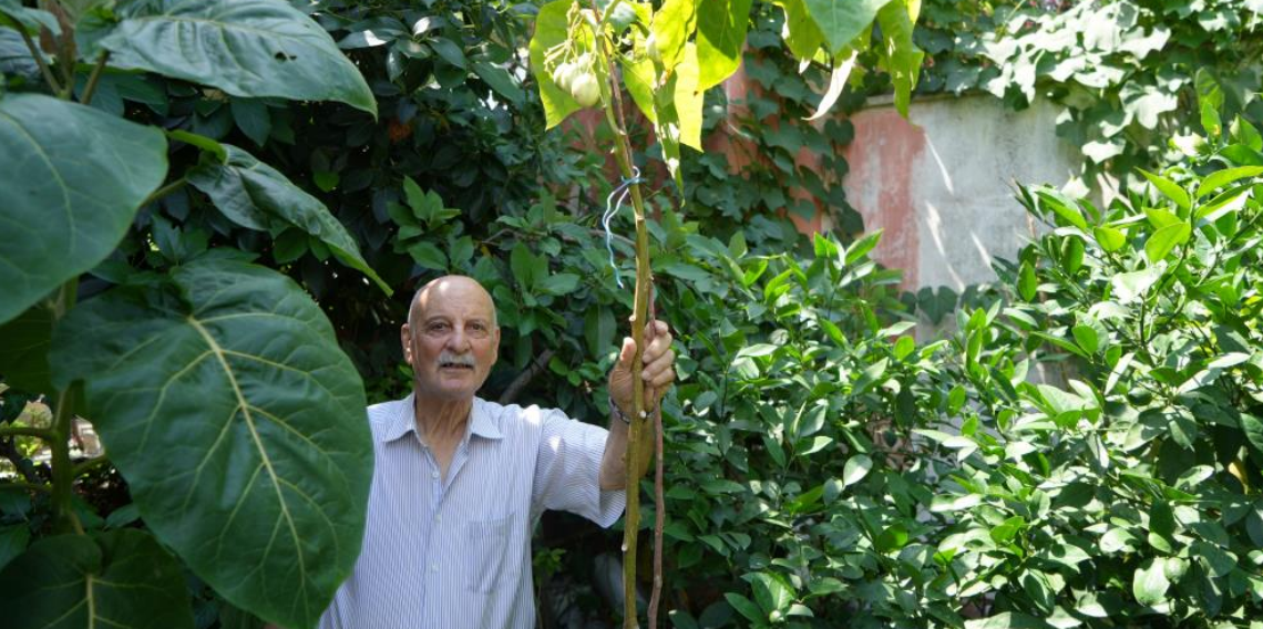 Üç kıta ve 50 ülkeden topladığı tohumlarla 'dünya bahçesi' kurdu