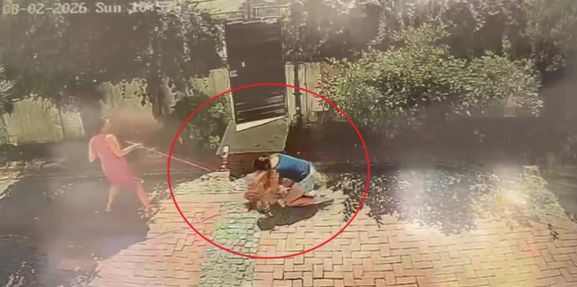Samsun'da pitbull dehşeti: Küçük kızı yere savurdu, köpeğini ise ağır yaraladı