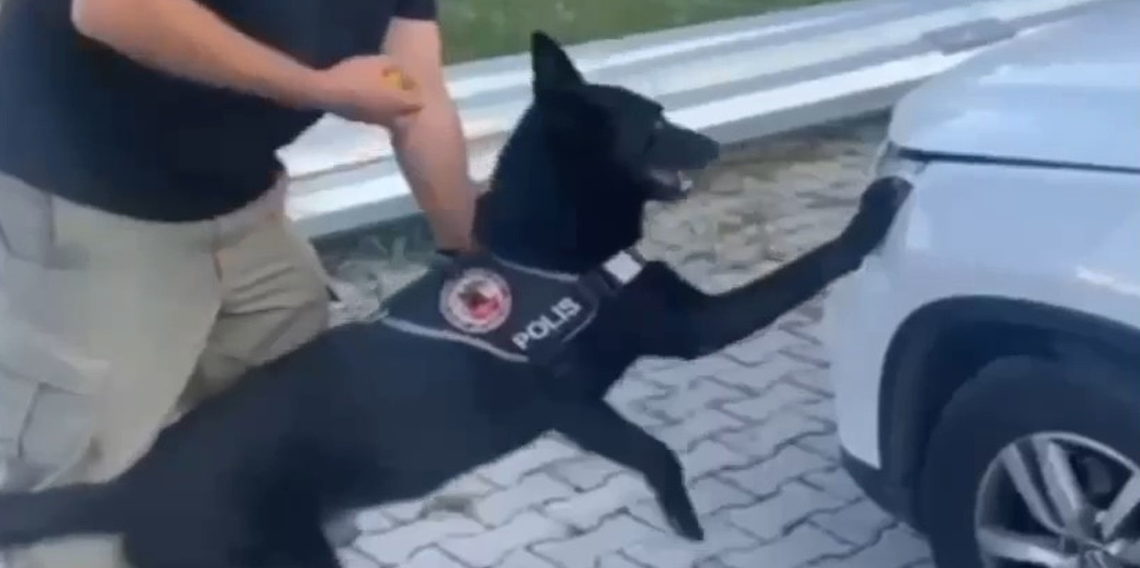 Samsun'da narkotik dedektör köpeği 1 kilo metamfetamini buldu