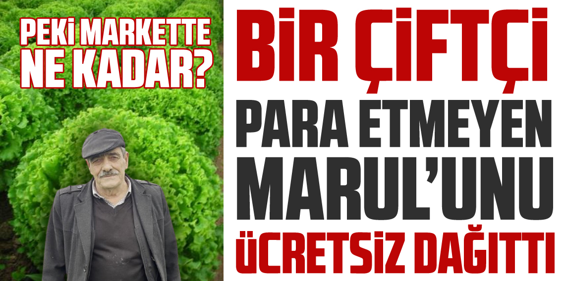 Marul toplama maliyetini karşılamayınca bedava dağıttı