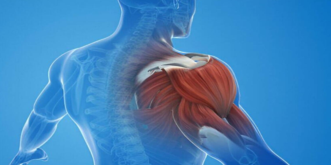 En İyi Kreatin Monohidrat Rehberi 2026