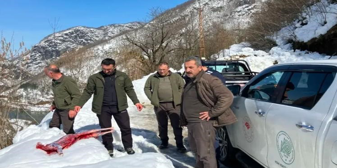 Artvin’de kaçak avcılar suçüstü yakalandı