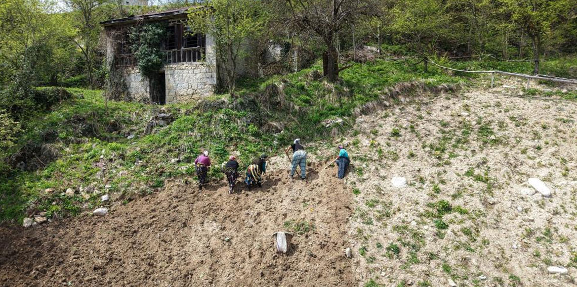 Karadeniz kadınının zorlu mesaisi başladı