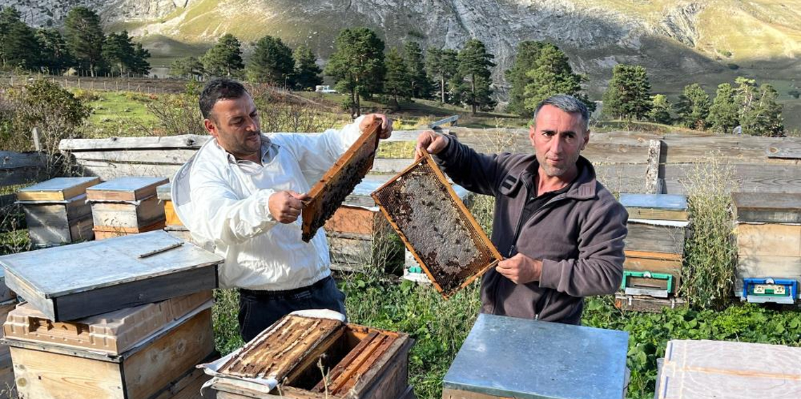 Artvin'de keşfedilen bal, köylünün yeni gelir kapısı oldu