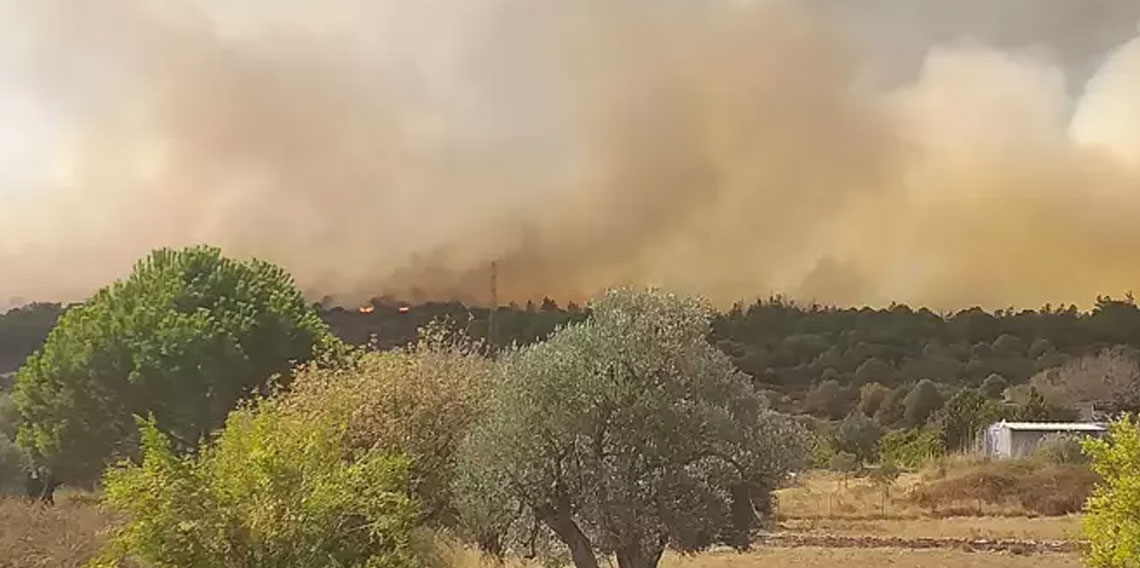 İzmir'de çöplükte çıkan yangın ormana sıçradı!