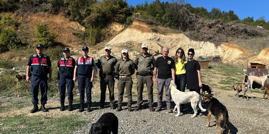 Samsun'da Sokak hayvanlarına destek