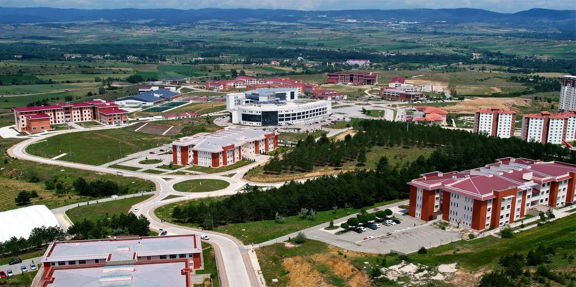 Kastamonu Üniversitesi, yeni doğan taylardaki bağışıklık sistemini araştıracak