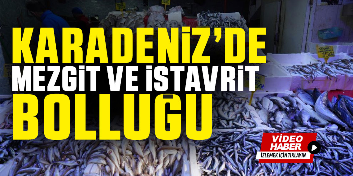 Tezgahlarda istavrit bolluğu: Kilosu 100 liradan satılıyor