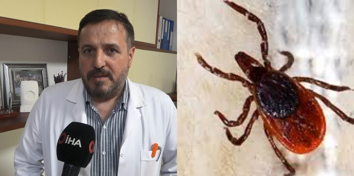 Havalar ısındı, kene vakaları hastanelere gelmeye başladı