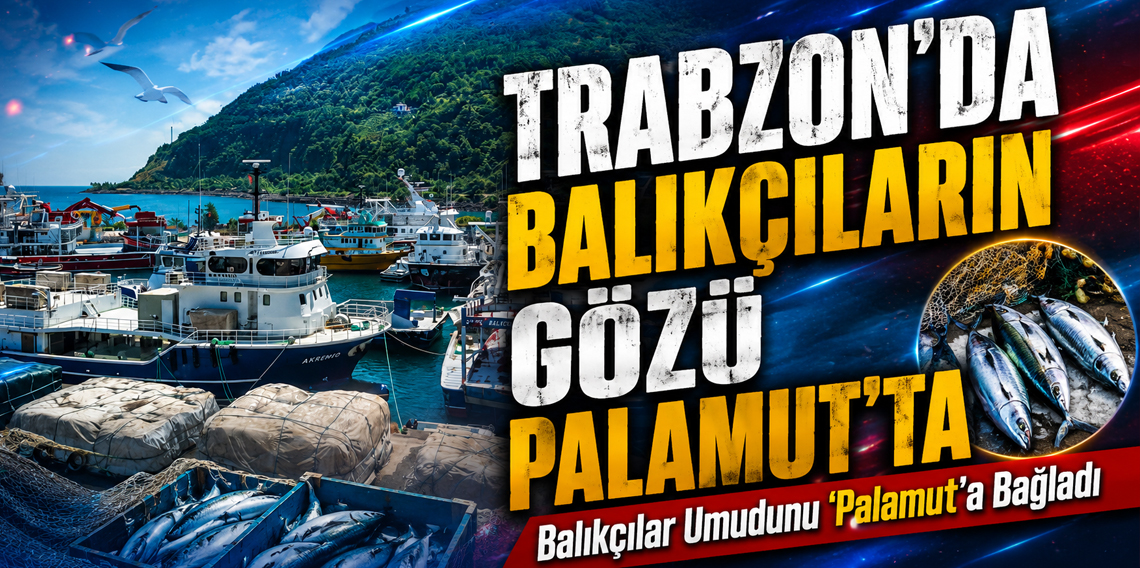 Trabzon'da Yeni Sezonda Palamut'tan Umutlu