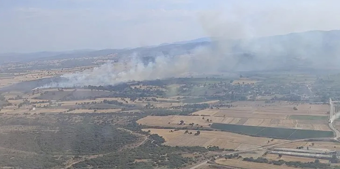 Çanakkale’de tarım arazisinde yangın