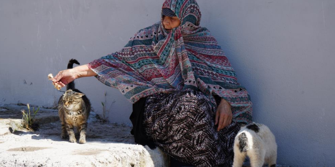 Bayburt'ta senelerdir sahipsiz hayvanları besleyen kadın, 10 yıldır baktığı sokak kedisini kaybetti: