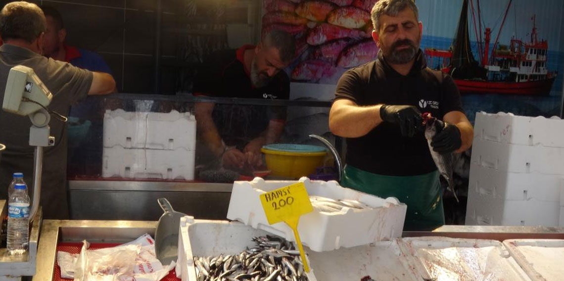 Hamsi palamutu kıskandı, tezgahlarda yerini aldı