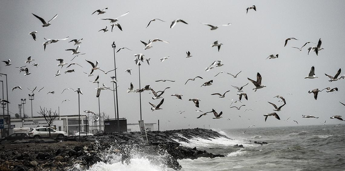 Meteoroloji'den İstanbul'a sarı uyarı: Gök gürültülü sağanak bekleniyor