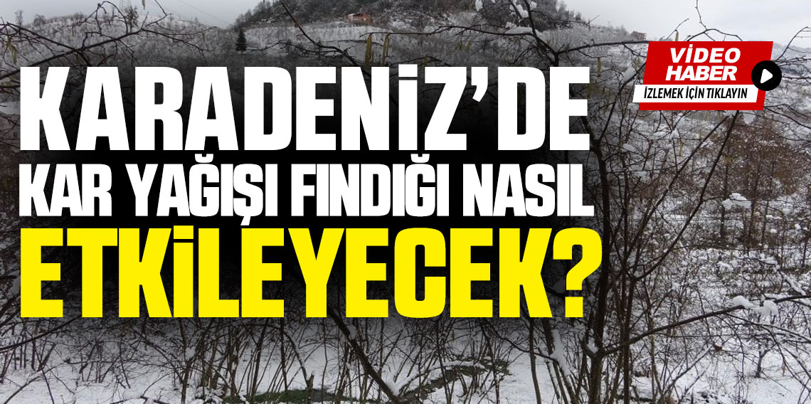 Karadeniz'de kar yağışı fındık üreticilerini sevindirdi