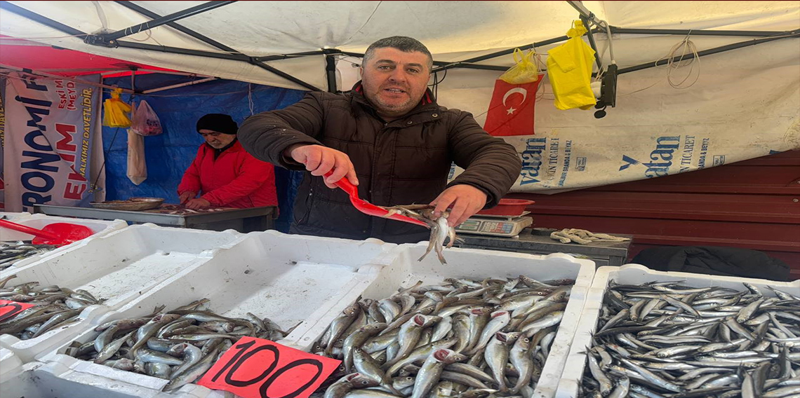 Zonguldak’ta tezgahlarda mezgit bolluğu