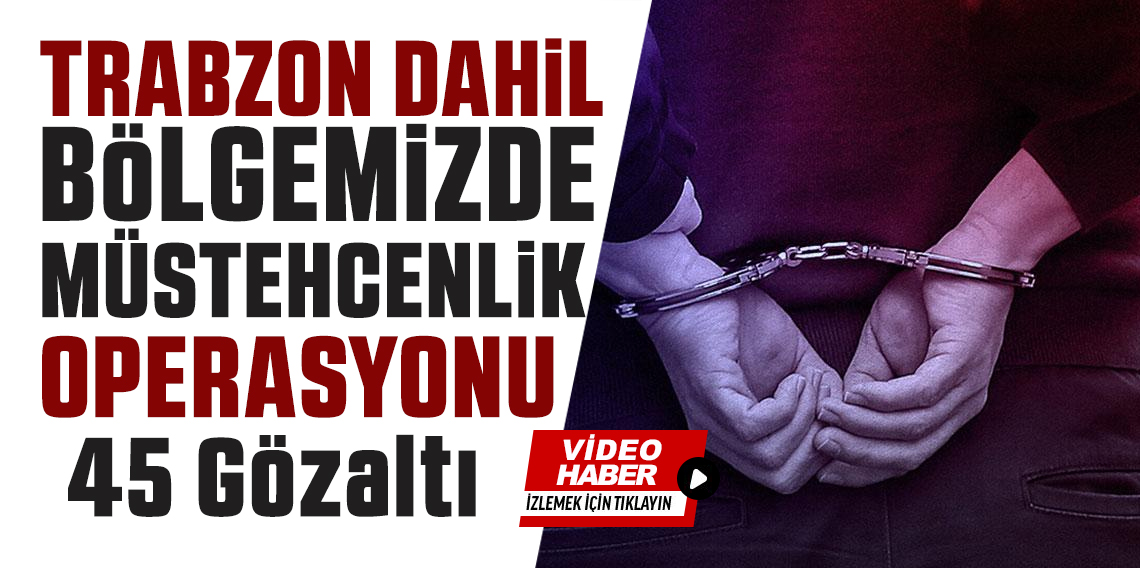 Samsun merkezli 24 ilde müstehcenlik operasyonu: 45 gözaltı