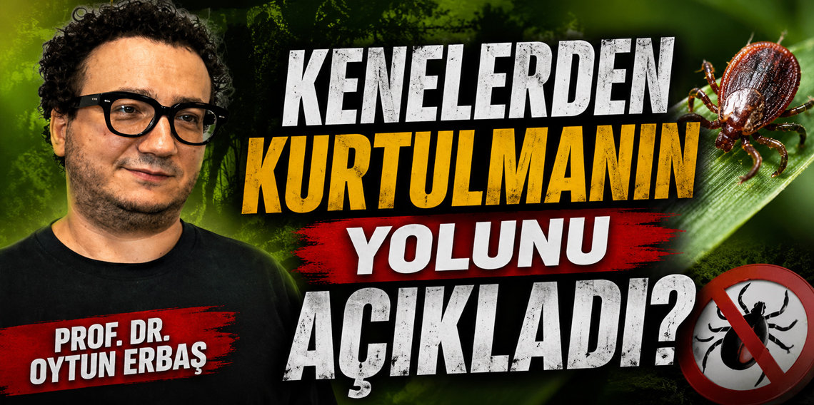 Prof. Dr. Oytun Erbaş: 