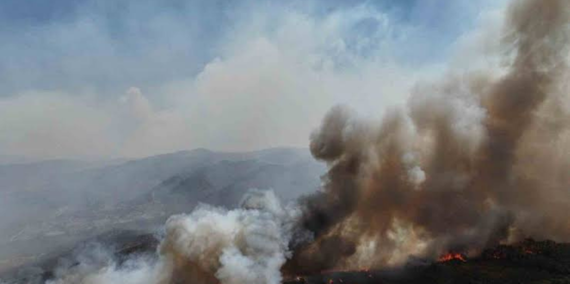 Suriye'de orman yangını sürüyor: itfaiyeciler alevlerin arasında kaldı