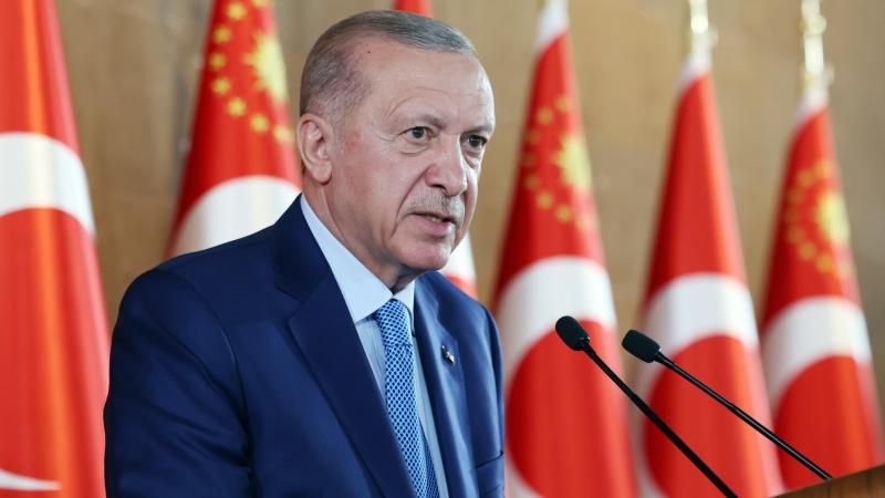 Cumhurbaşkanı Erdoğan'dan Türk aktivist için taziye mesajı