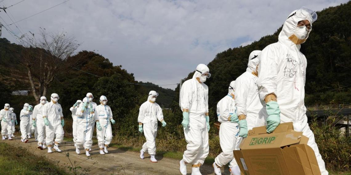 Japonya'da kuş gribi alarmı