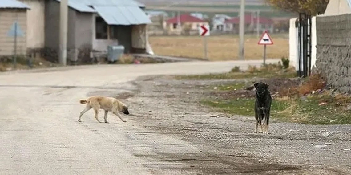 Şikayetler sonrası düğmeye basıldı! Sağlık Bakanlığı 81 ile yazı gönderdi