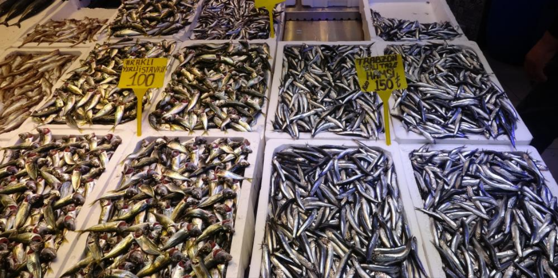 Yerli Hamsi Tezgâhlara Geri Döndü: Uzun Aradan Sonra Kalitesiyle Şaşırttı