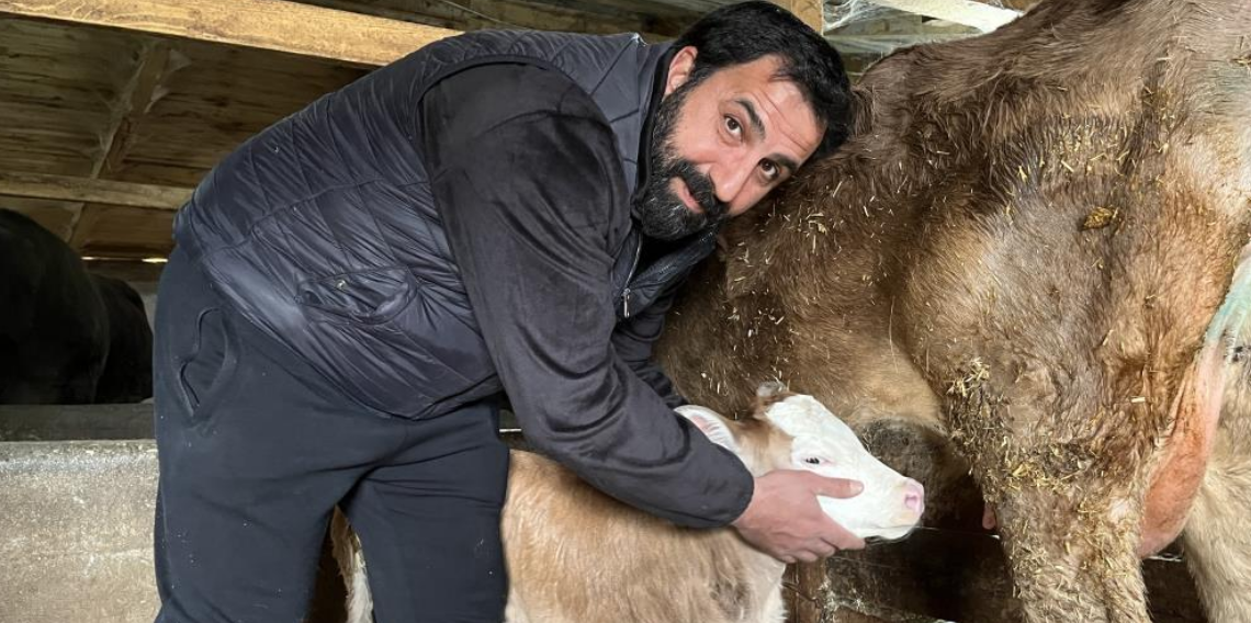 Artvin’de Buzağılar Çocuk Buhar Makinesiyle Hayata Tutunuyor