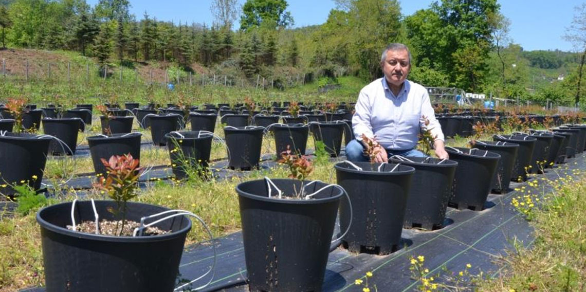 Eski başkanın 
