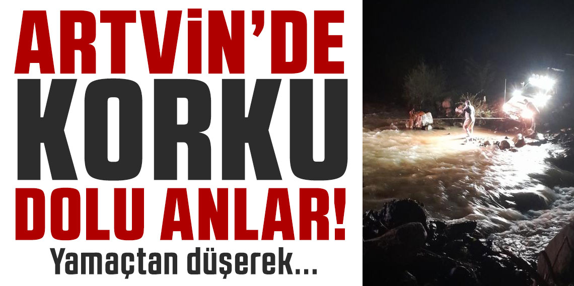 Artvin’de yamaçtan düşerek yaralanan vatandaş kurtarıldı