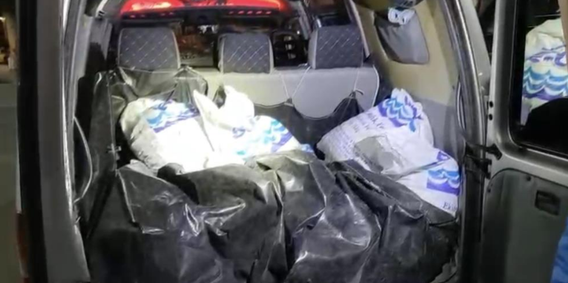 Samsun'da kaçak avlanan 150 kilo kara kıllı midye ele geçirildi! 