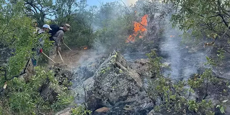 Tunceli'de orman yangını kontrol altında