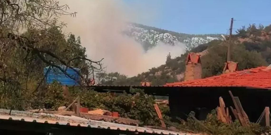 Muğla'da orman yangını çıktı!