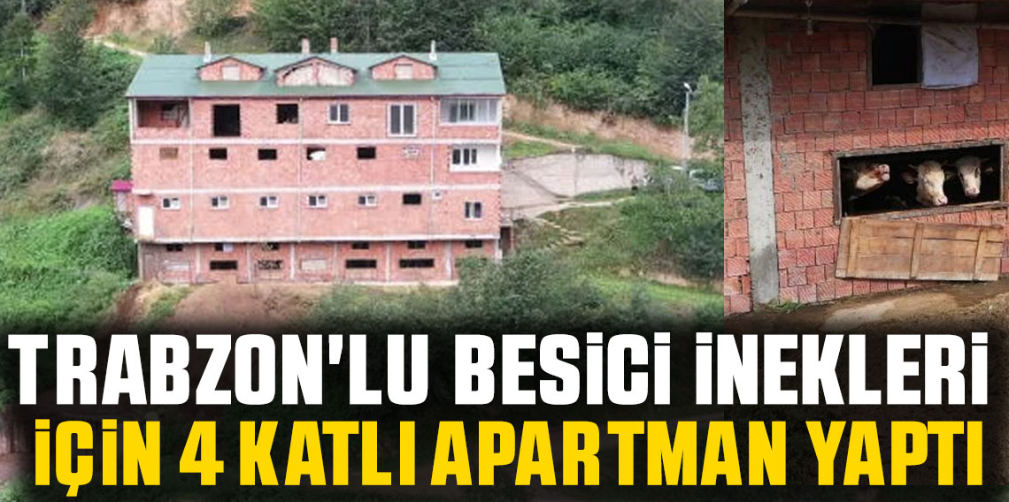 Trabzon'lu besici İnekleri için 4 katlı apartman yaptı