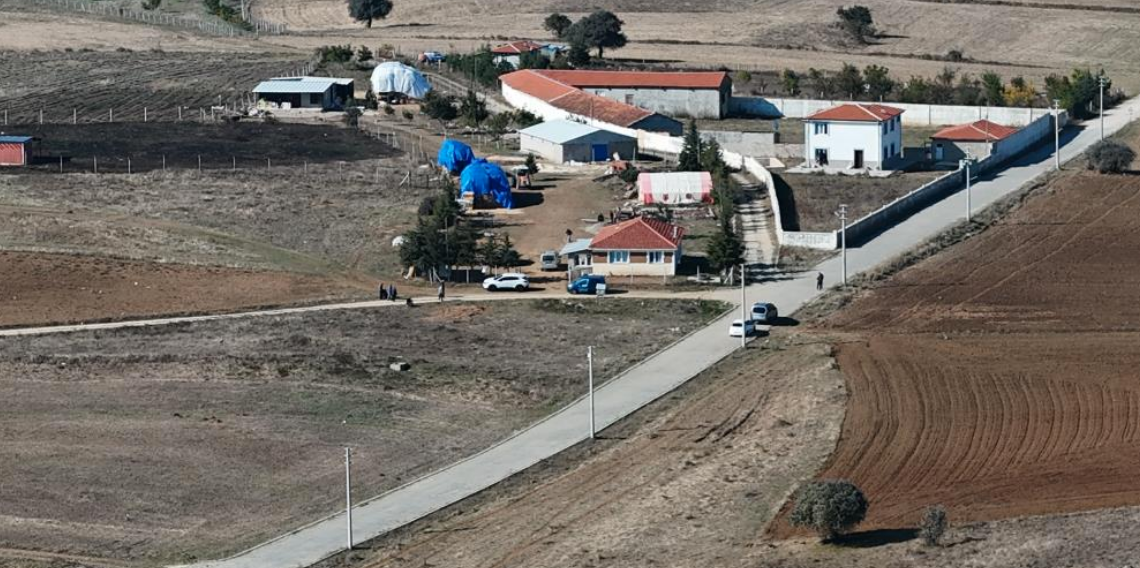 Hayatını adadığı yeğeni katili oldu