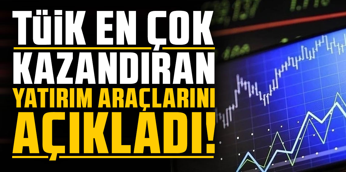 TÜİK en çok kazandıran yatırım araçlarını açıkladı!