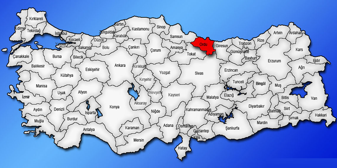 Ordu nerdedir?