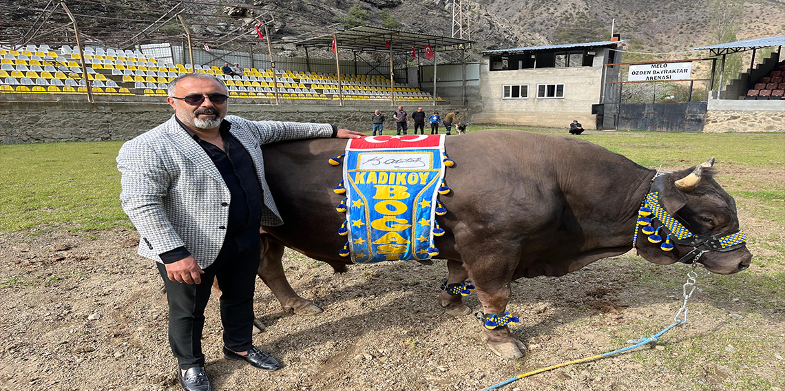 Artvinli Fenerbahçe taraftarından Ali Koç'a boğalı destek
